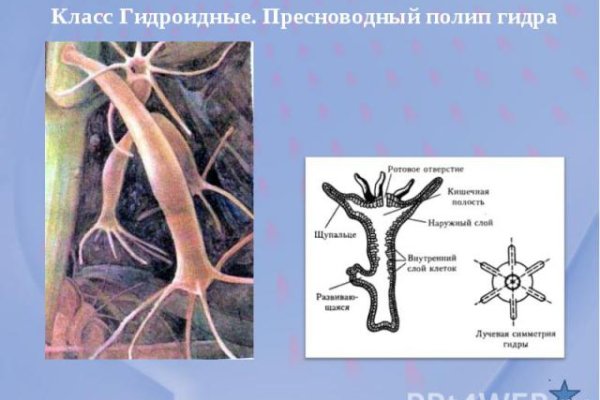Кракен это современный даркнет маркет плейс