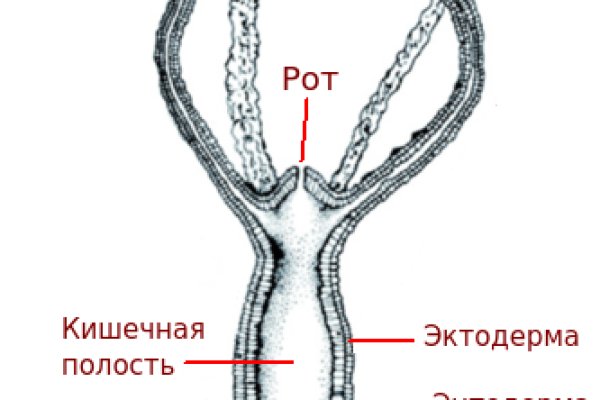 Аутентификатор кракен