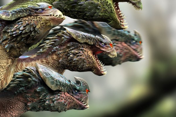 Kraken kraken link24 info