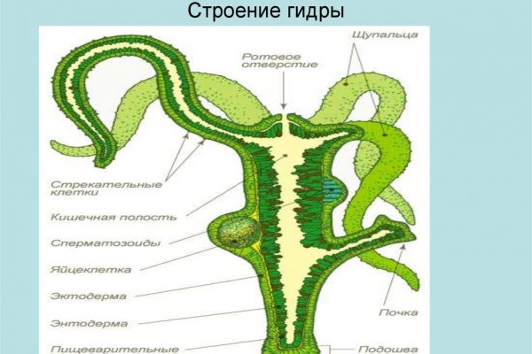 Kraken маркетплейс официальный