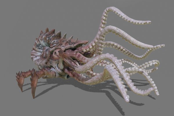 Kraken kraken link24 info