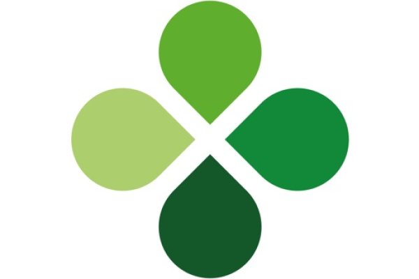 Kraken tor marketplace